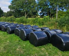 1st Cut Silage Bales