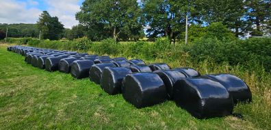 1st Cut Silage Bales