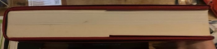 Carl Gustav Jung  :  Liber Novus  (The Red Book)