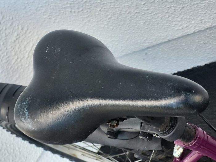 Female Bike..rarely Used