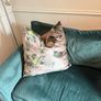 2 x large scatterbox cushions Image 7