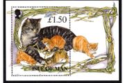 1996 Isle of Man Manx Cats (cats with kittens) Commemorative Stamp Miniature Sheet Mint Never Hinged (MNH)