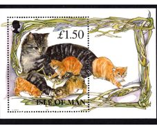 1996 Isle of Man Manx Cats (cats with kittens) Commemorative Stamp Miniature Sheet Mint Never Hinged (MNH)