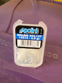 Polini Variator rollers