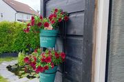 Plant Wall hanger 6 for 15 euro