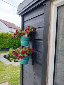 Plant Wall hanger 6 for 15 euro