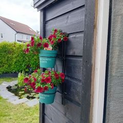 Plant Wall hanger 6 for 15 euro