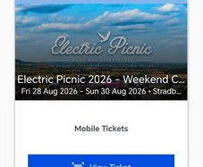 electric picnic