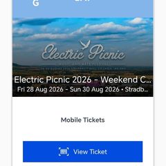 electric picnic