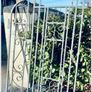 Wrought iron single gate Image 4