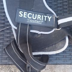 dog harnesses