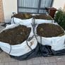 Free Top Soil Image 2