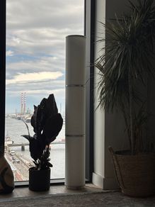 Ikea Vidja Tall Floor Lamp
