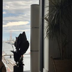 Ikea Vidja Tall Floor Lamp