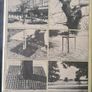 Trees For Town And Country By Peter Bridgeman. With A Frontispice By Henry Moore. Rare Vintage First Edition. Large Volume Hardback With Dustjacket In In Good Condition. Image 2
