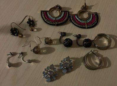 Earrings