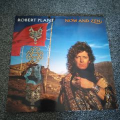 Robert Plant Vinyl Album