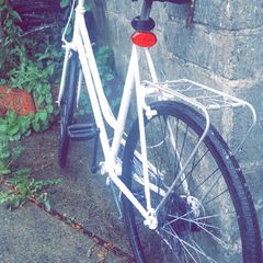 adult girls bike