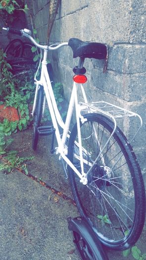adult girls bike
