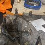 Xjr1300 parts Image 4