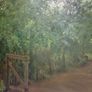 Original Oil Painting Woodland Lane Gate, Charles Webb Print Shop Dublin Label Image 2
