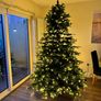7.5ft pre-lit Christmas Tree Image 2