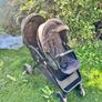 double stroller Joie Image 4