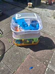 hamster cage free