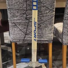 Pogo stick
