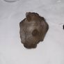 Grey kidney shaped agate euro Image 4