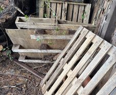 pallets dry