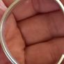 Gucci silver Image 6