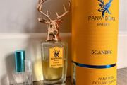 Pana Dora: Scandic Discovery Samples