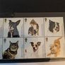 cats & dogs commemorative stamps Image 3