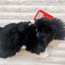 Keel Toys Jessie Border Collie Black White Dog Soft Plush approx. 25 cm. Blue Collar Used Please see photos Image 2