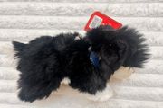 Keel Toys Jessie Border Collie Black White Dog Soft Plush approx. 25 cm. Blue Collar Used Please see photos