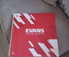 Evans Drum head