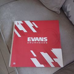 Evans Drum head