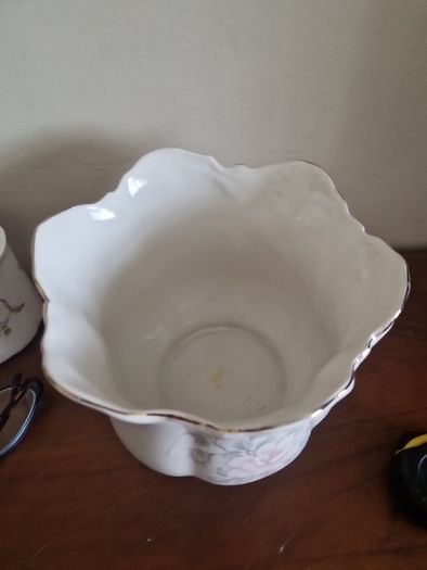 china indoor plant pot