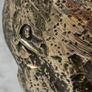 Gorilla Skull - Polished Bronze (Signed) Image 9