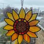 Sunflower Image 5