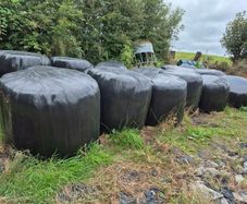 Round bales 2025 silage