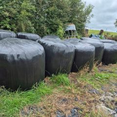 Round bales 2025 silage