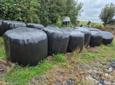 Round bales 2025 silage