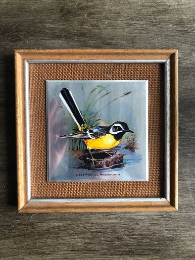 Set of 5 Vintage Wooden Framed Bird Pictures