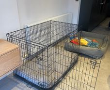 Large dog crate