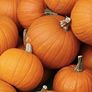 (P) Pumpkin Amazonka seeds 1g (125524) Image 2