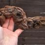 Small Bogwood Image 5