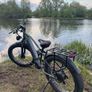 e bike Image 6