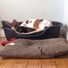 olive.grogan